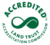 walthour accredited